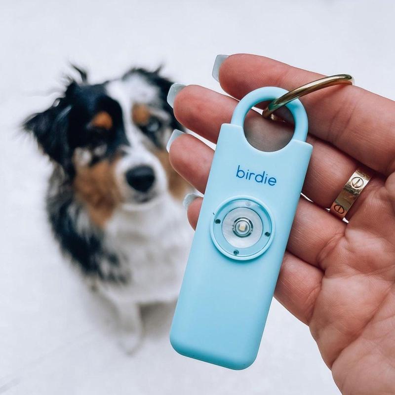 Safety Alarm made by women